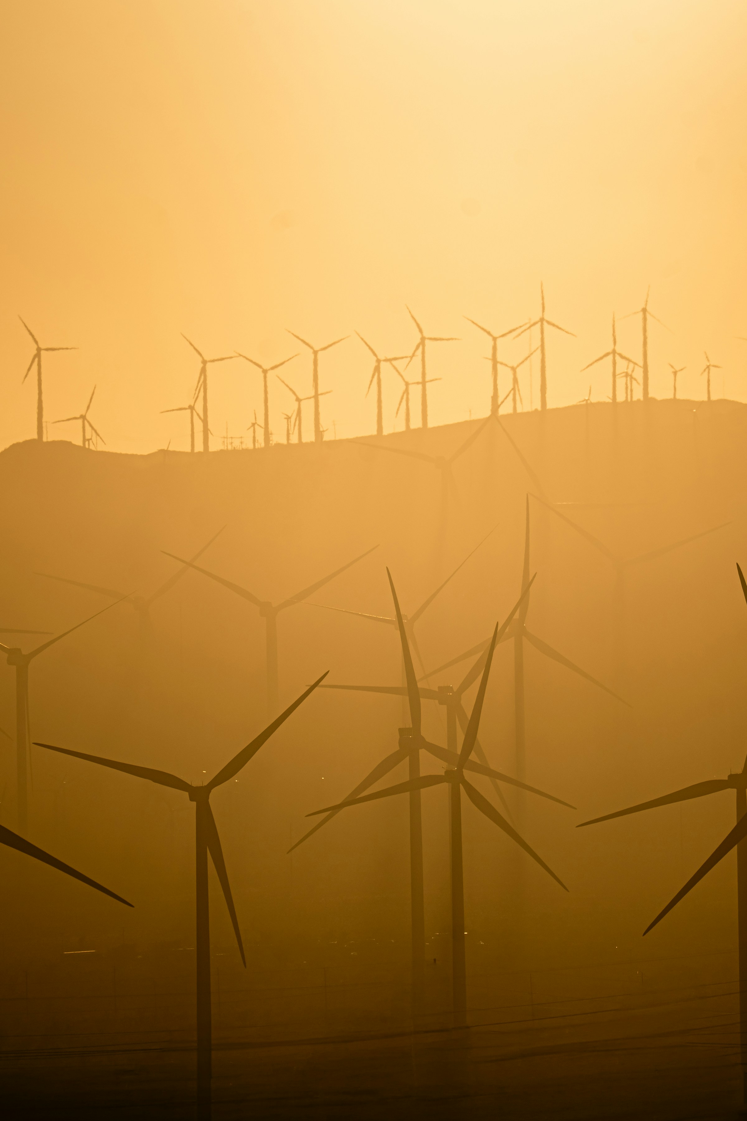 Wind turbines in a hazy golden landscape